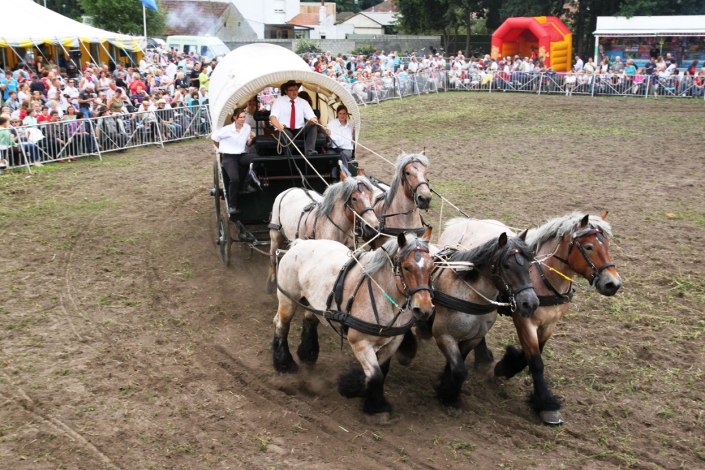 Trekpaardenhappening 2011