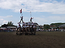 Trekpaardenhappening 2011