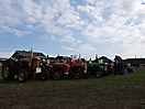 Trekpaardenhappening 2011