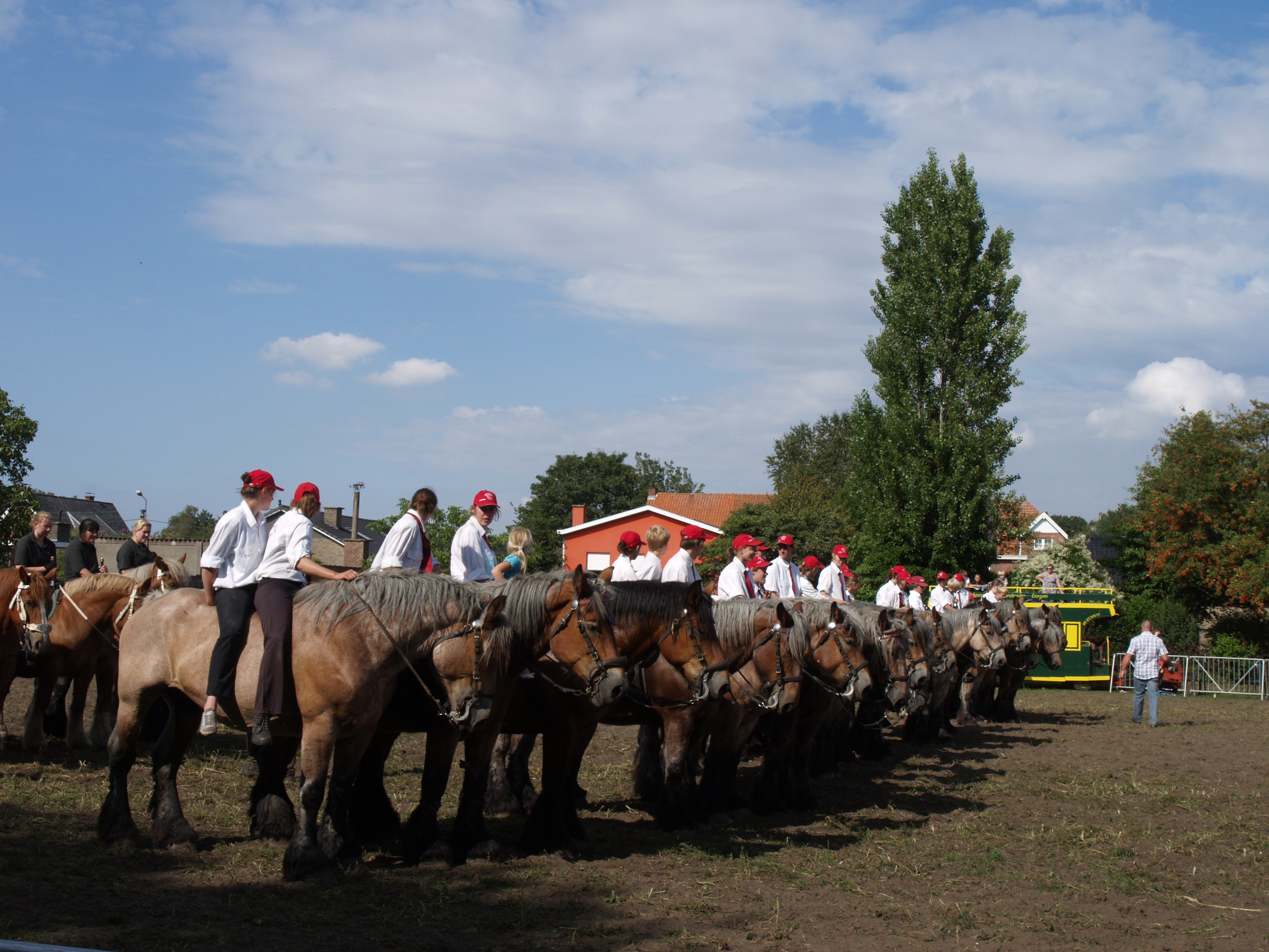 Trekpaardenhappening