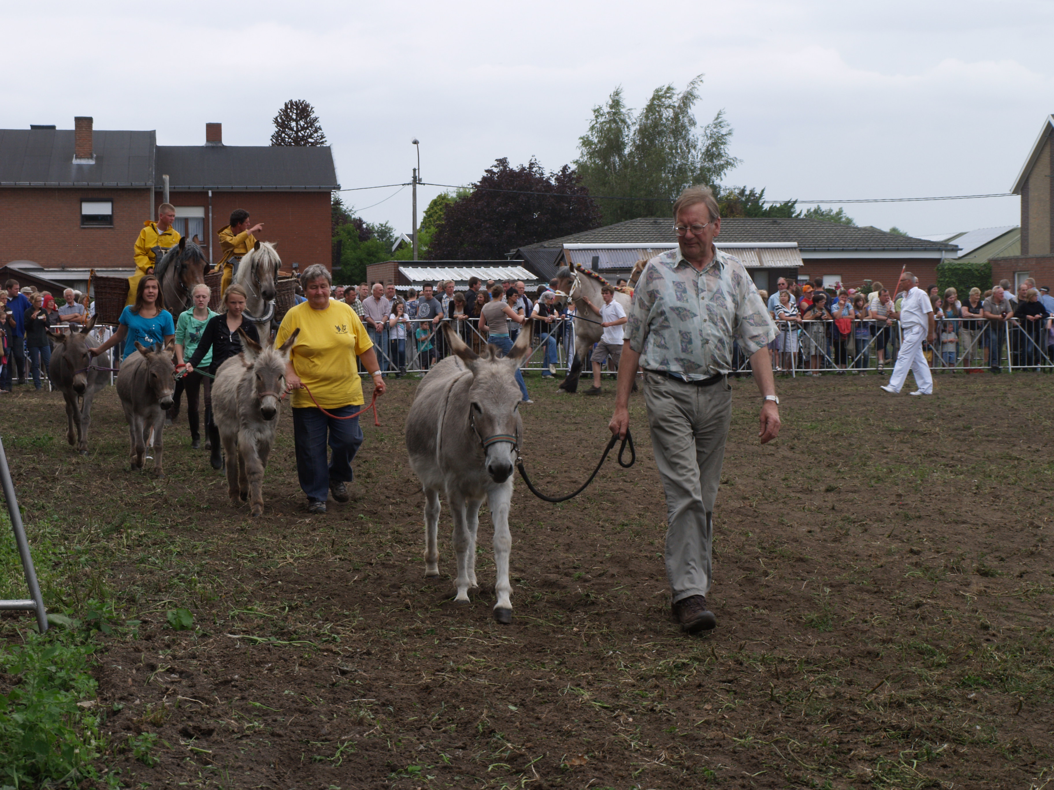 Trekpaardenhappening