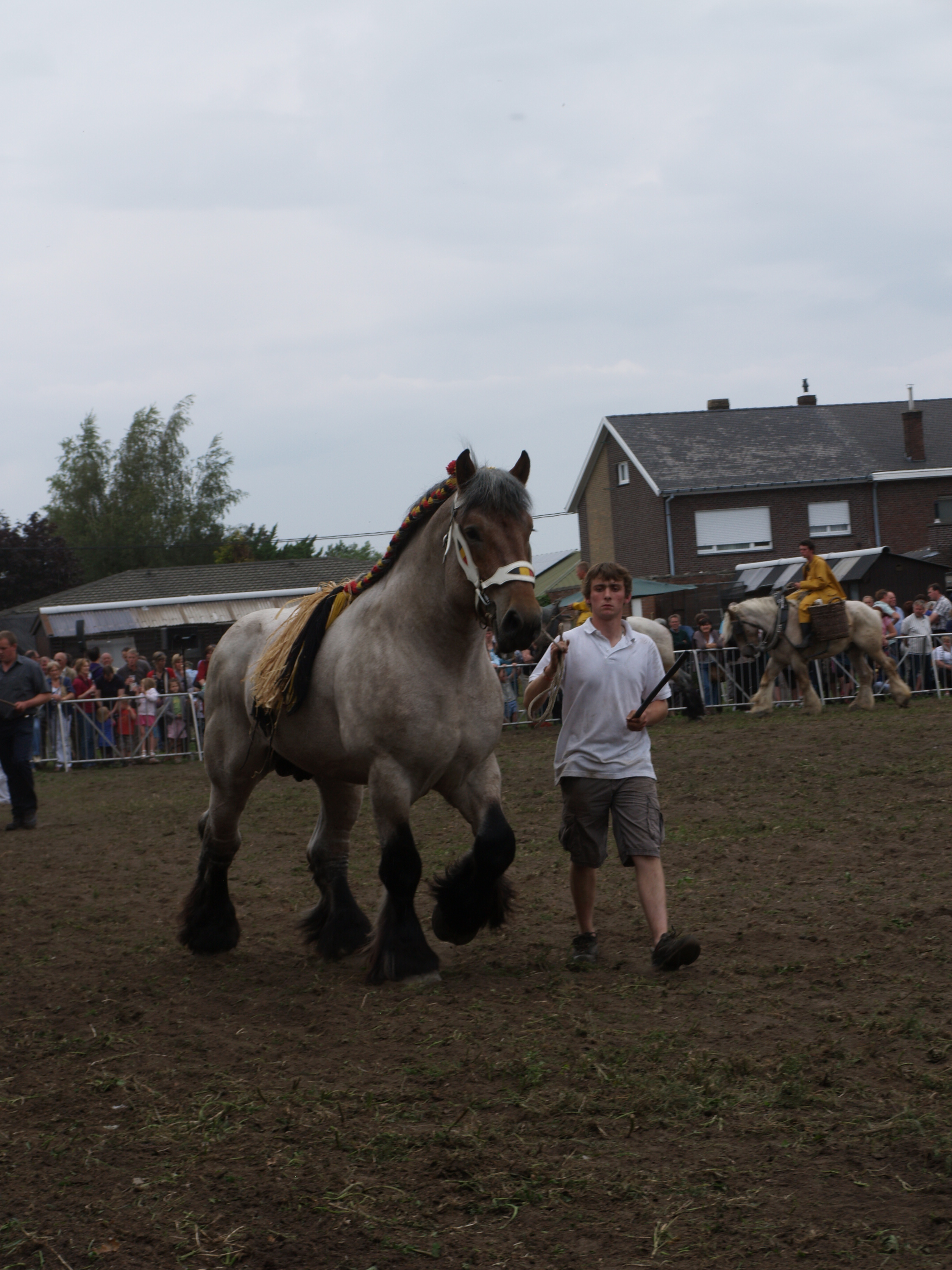 Trekpaardenhappening