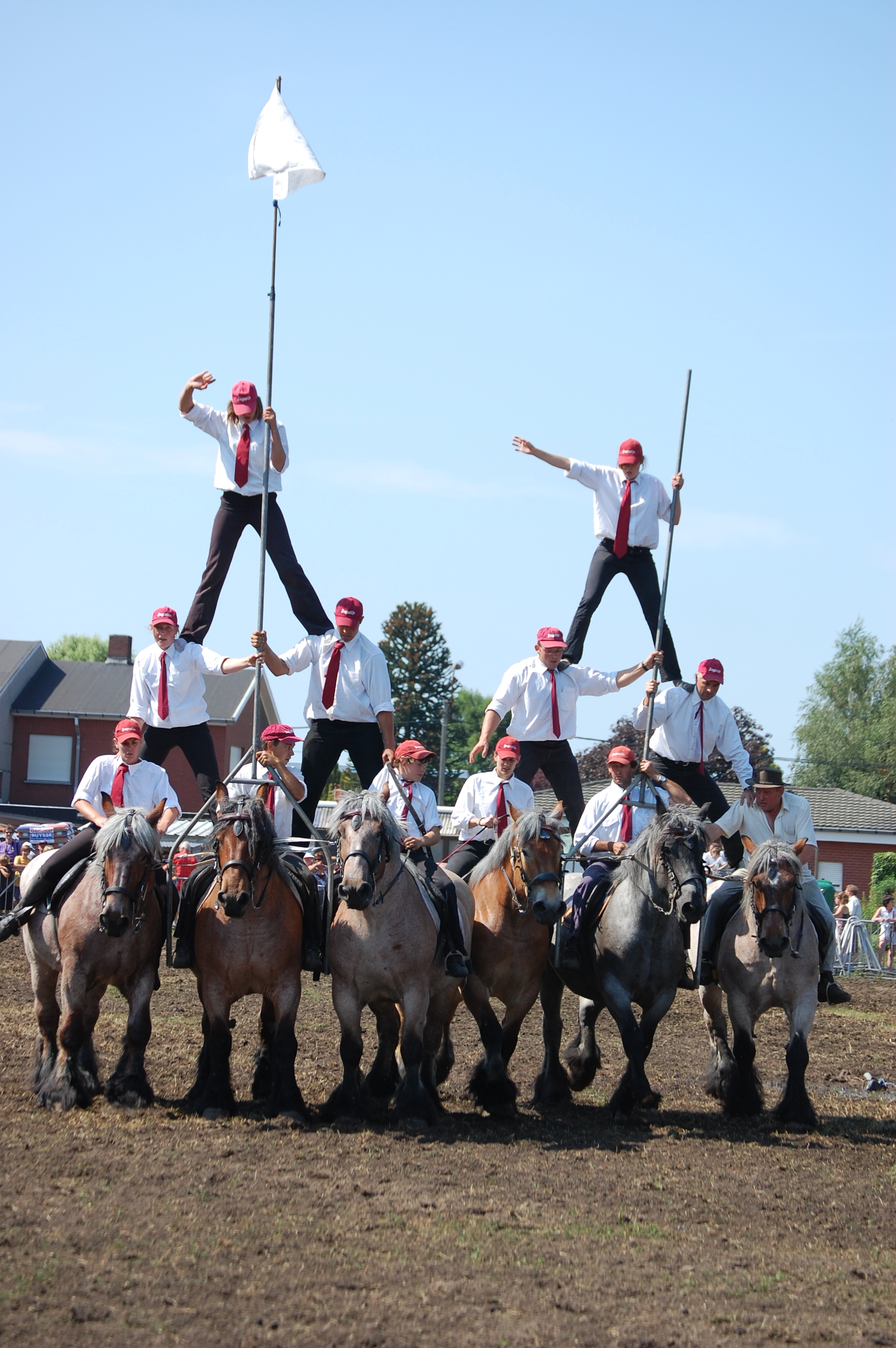 Trekpaardenhappening 2010