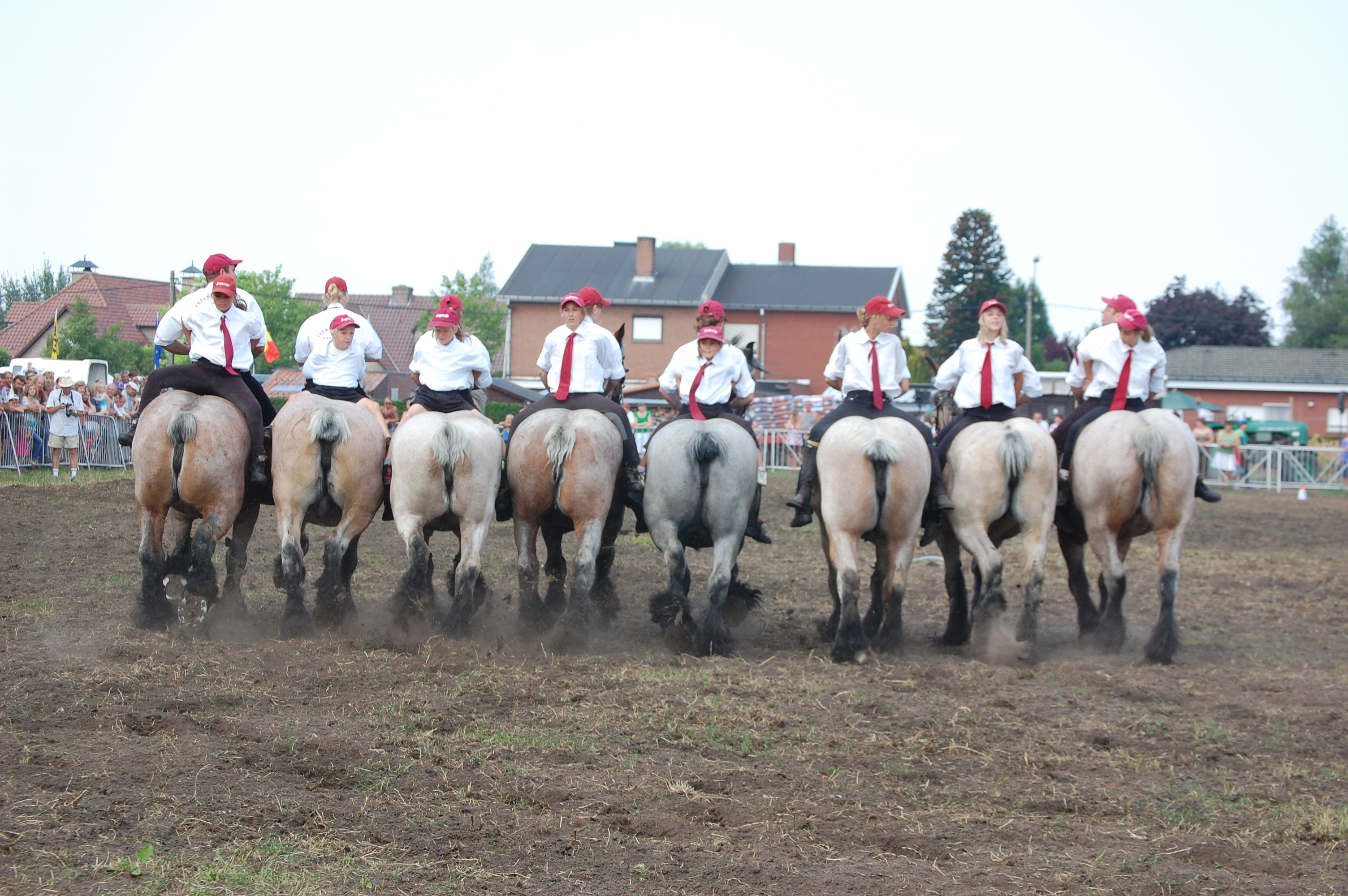Trekpaardenhappening 2010