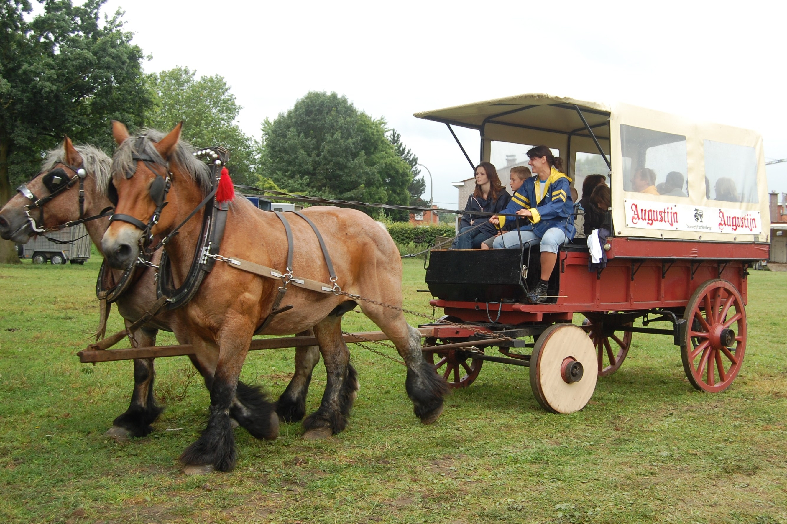 Trekpaardenhappening09