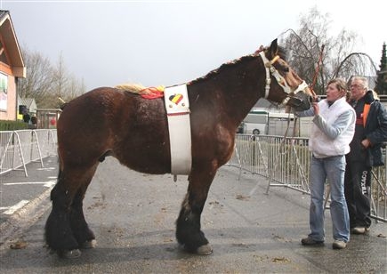 Evergem jaarmarkt 2009