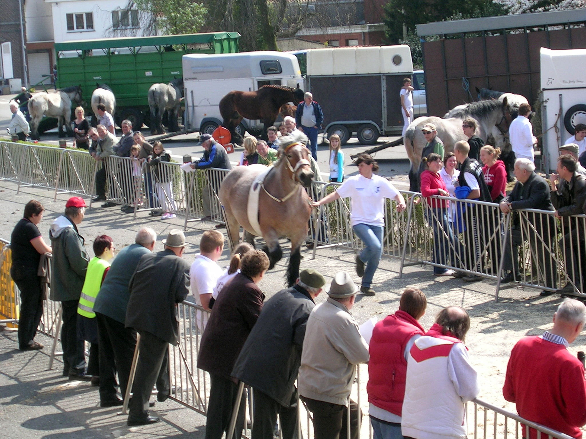 Evergem Jaarmarkt
