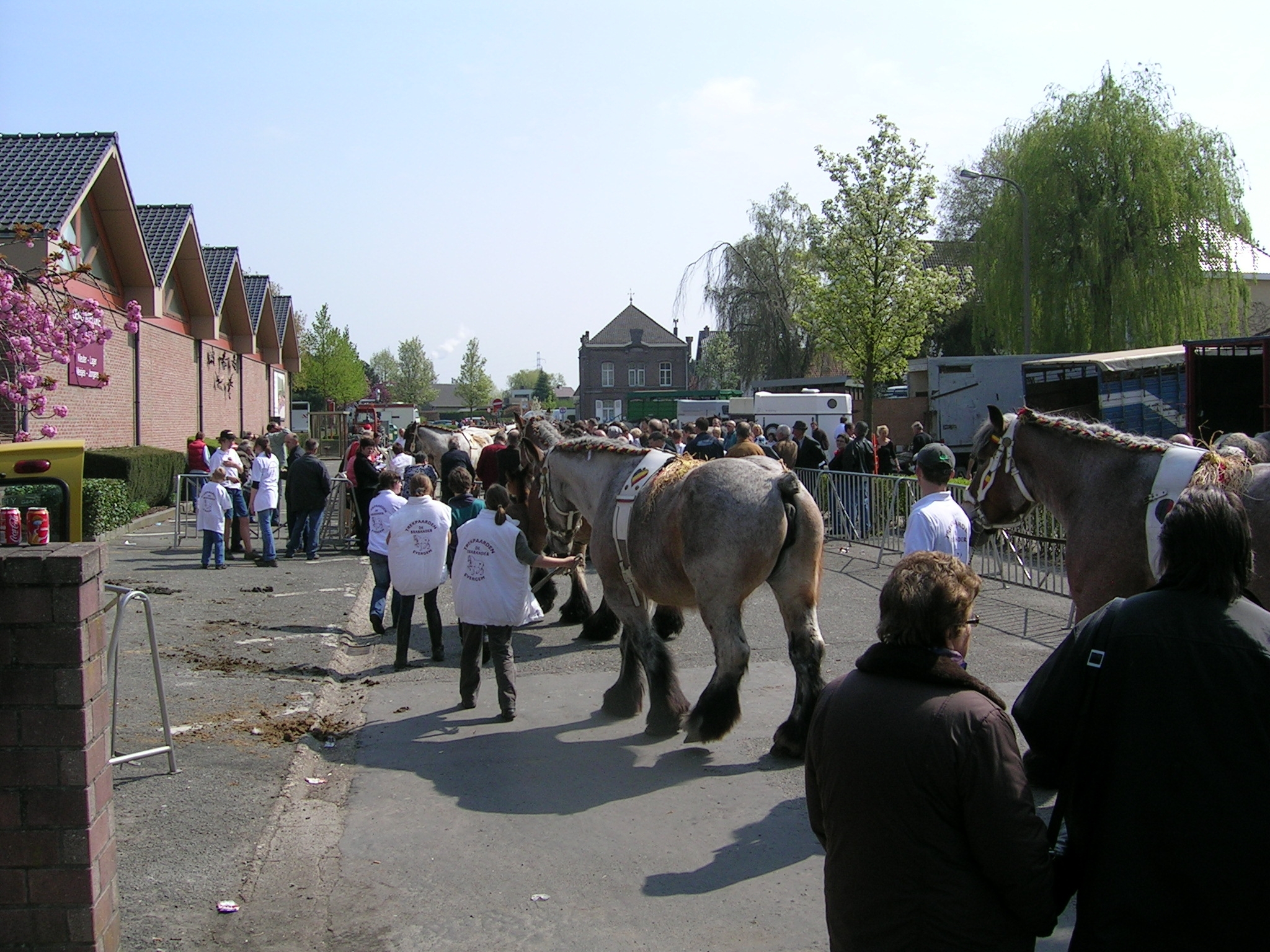 Evergem Jaarmarkt