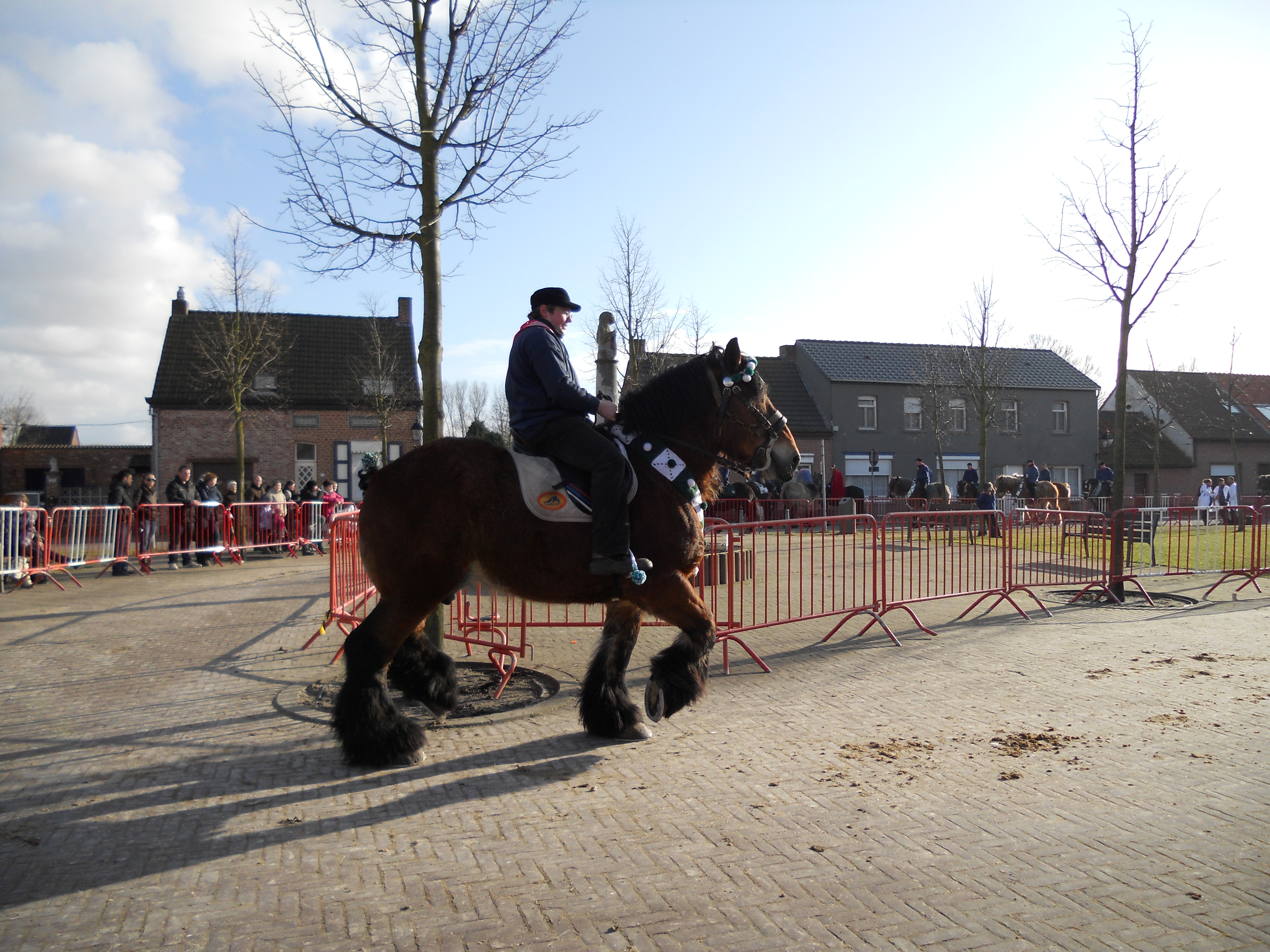Ganzenrijden 2012