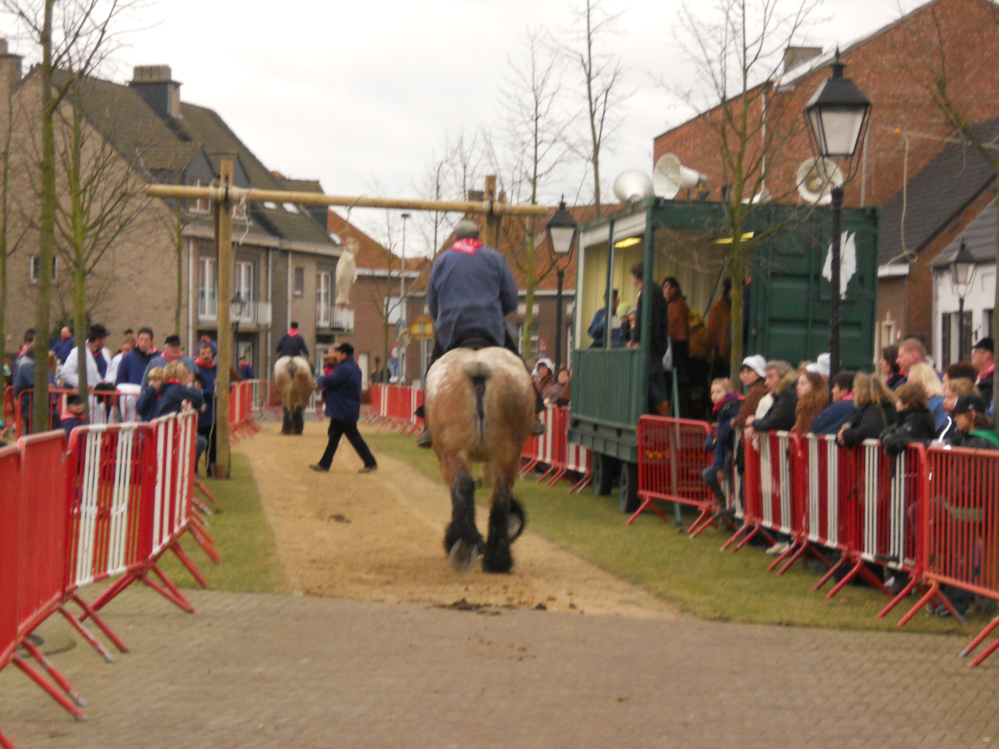 Ganzenrijden 2012