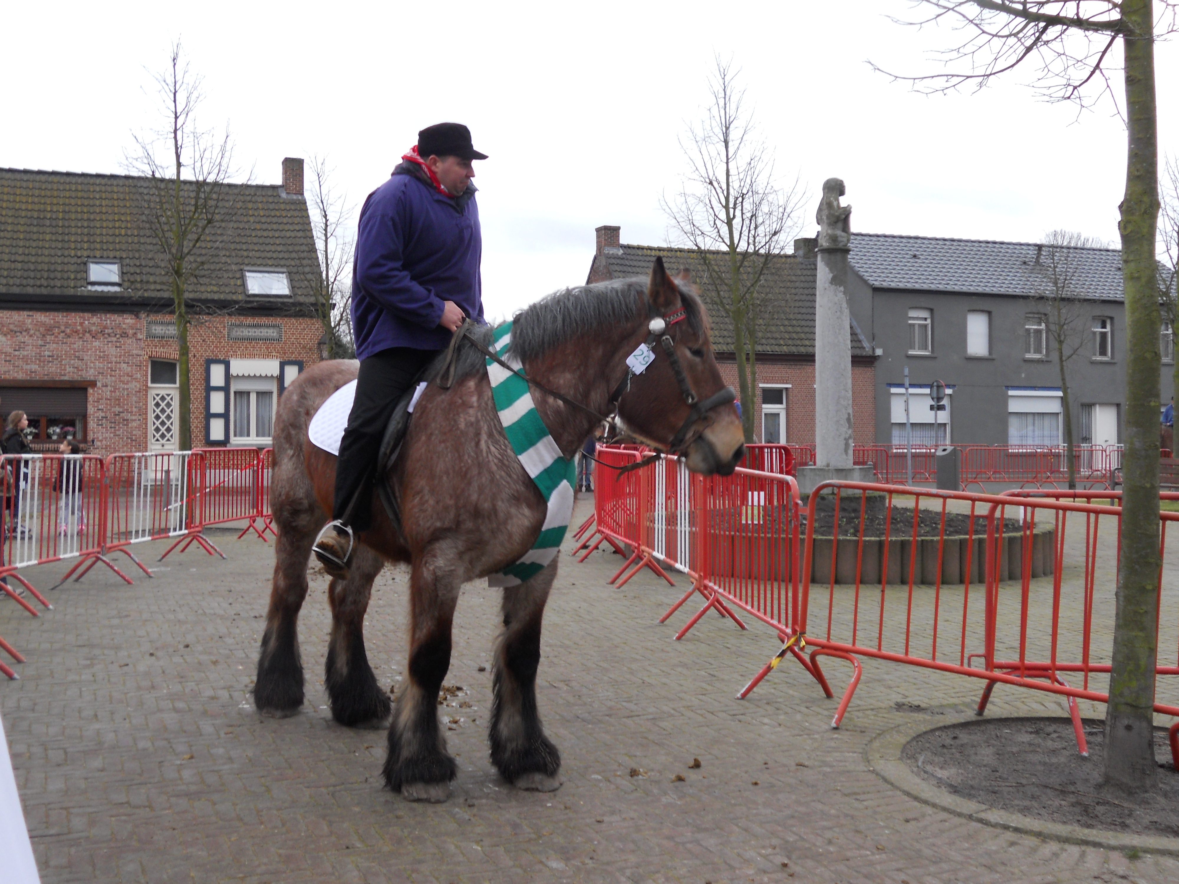 Ganzenrijden 2012