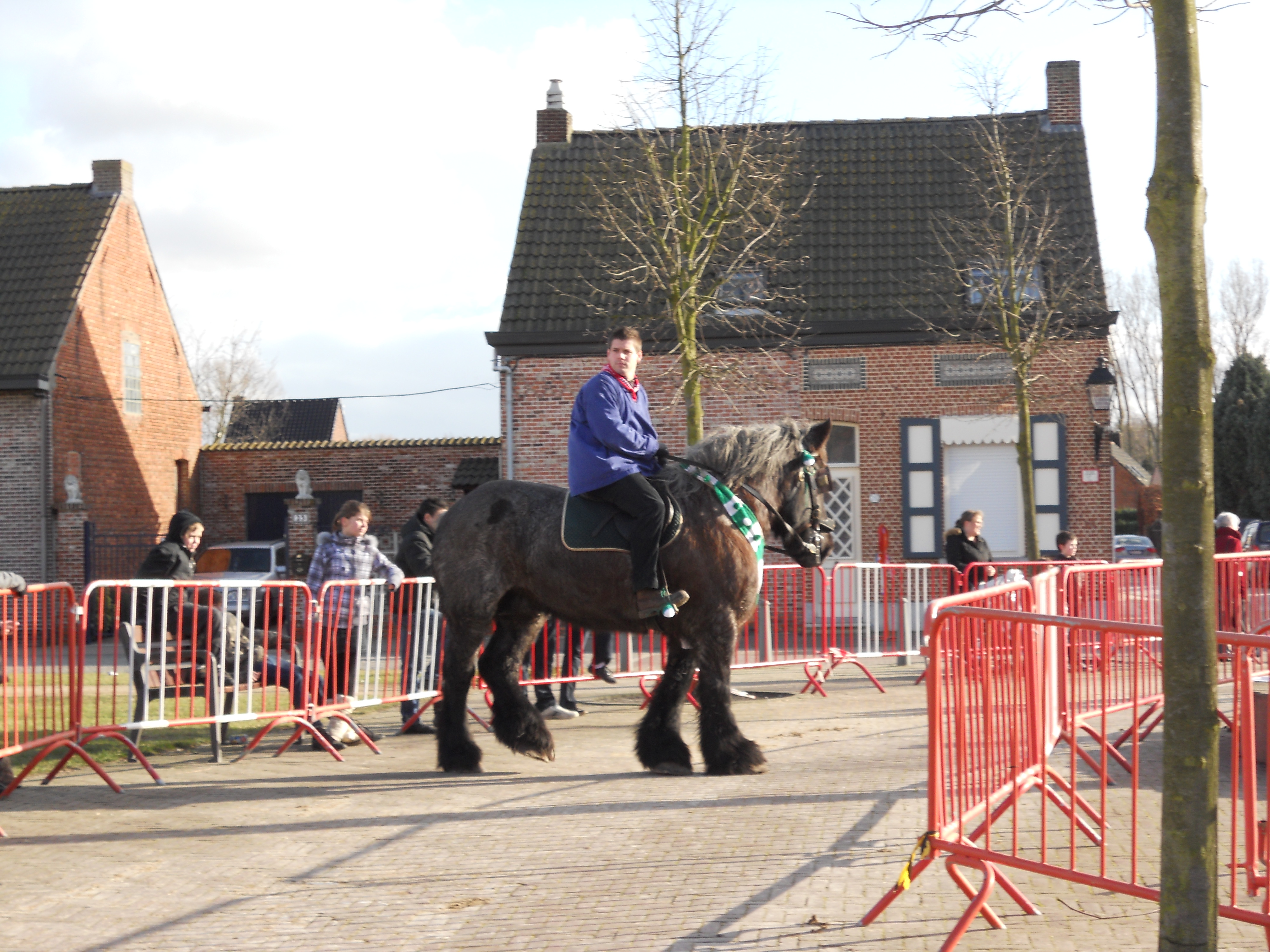 Ganzenrijden 2012