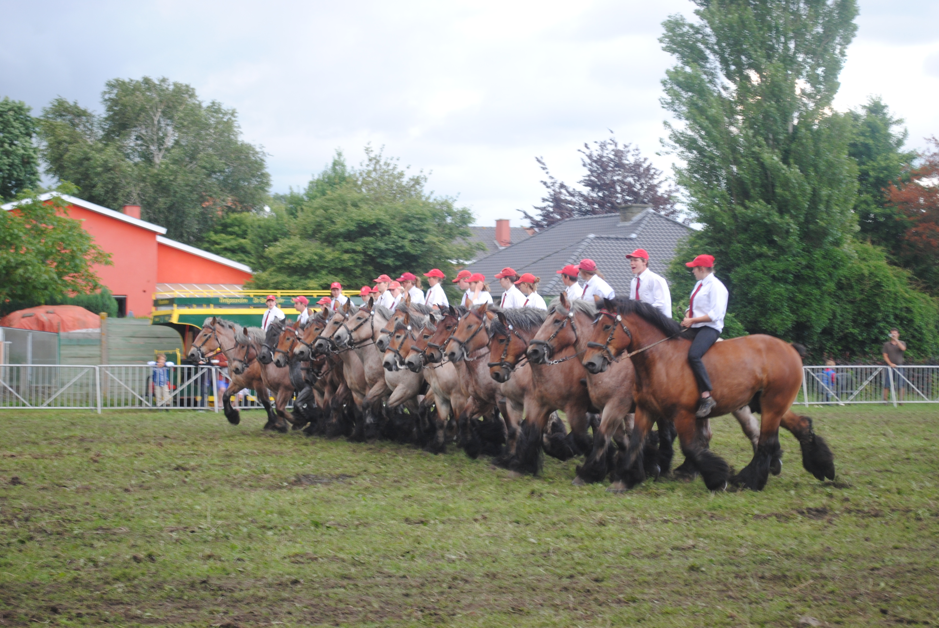 Trekpaardenhappening 2012