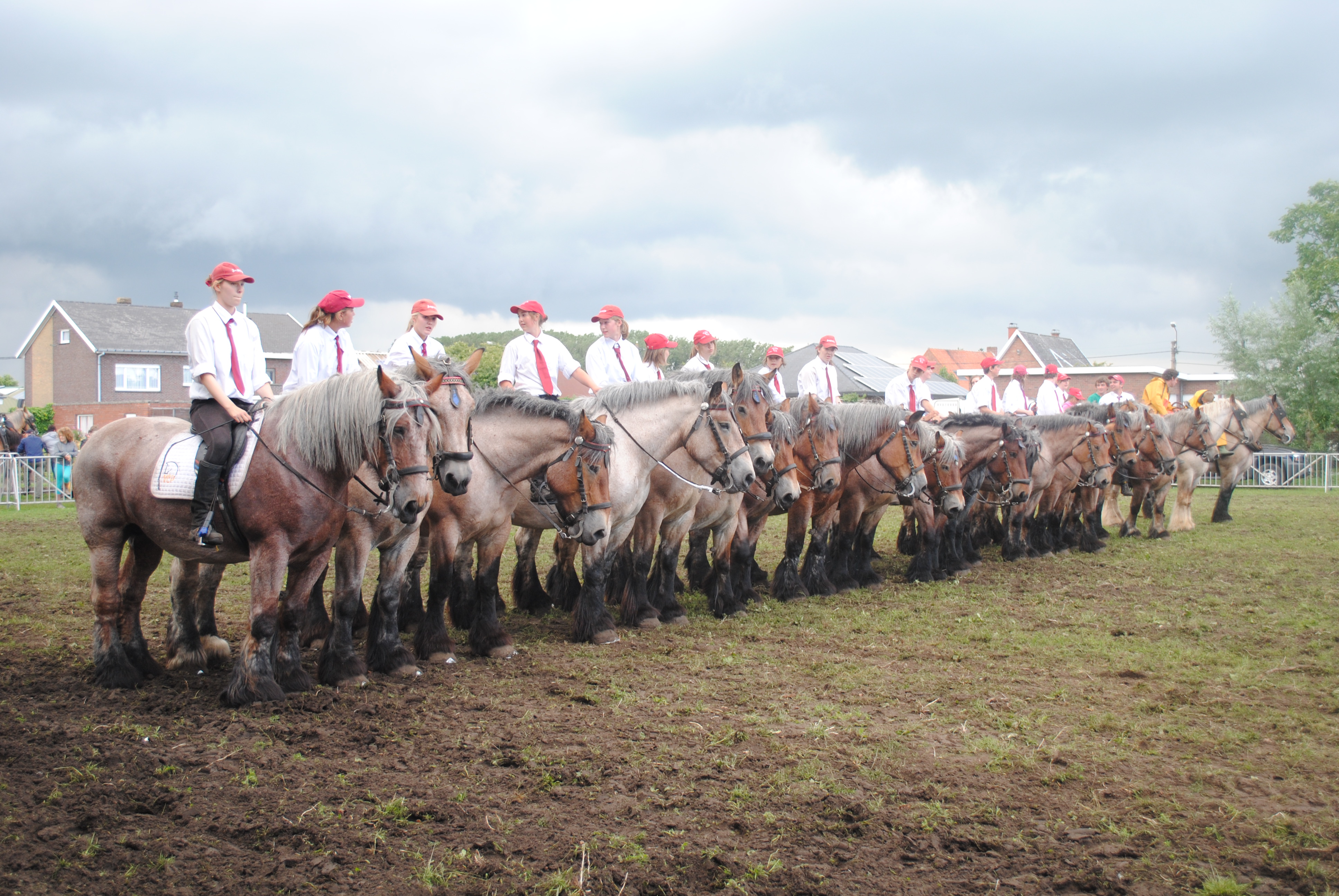 Trekpaardenhappening 2012