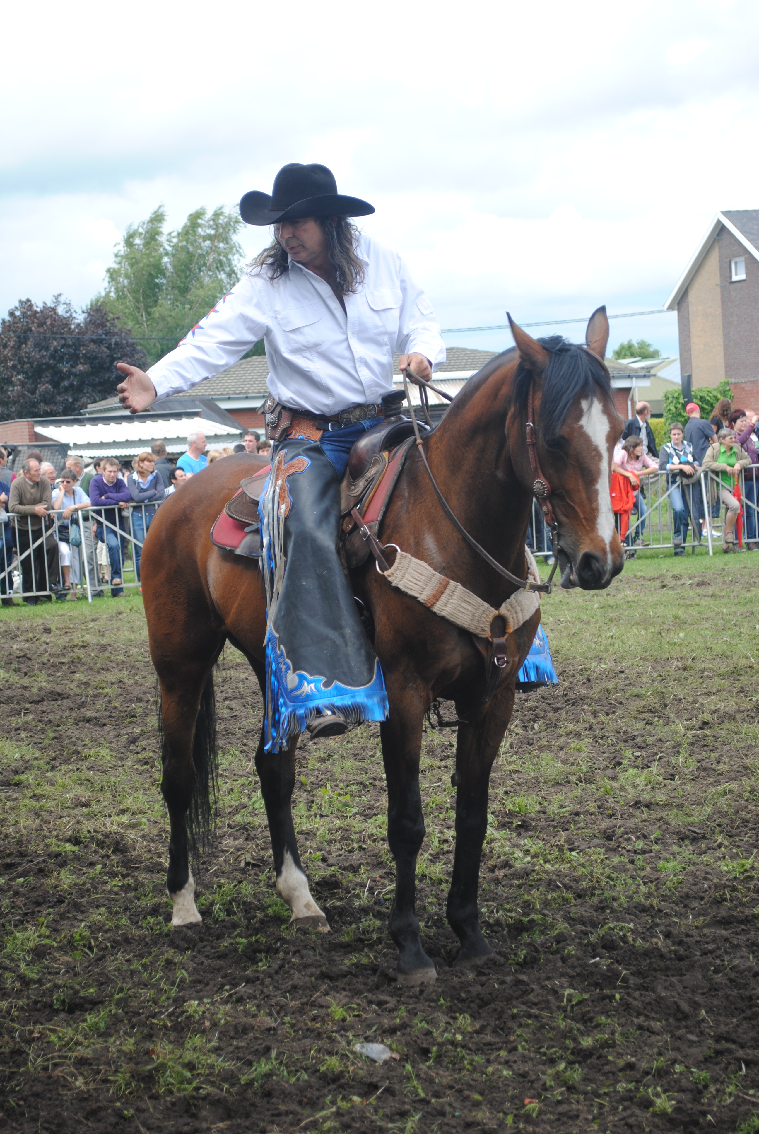 Trekpaardenhappening 2012