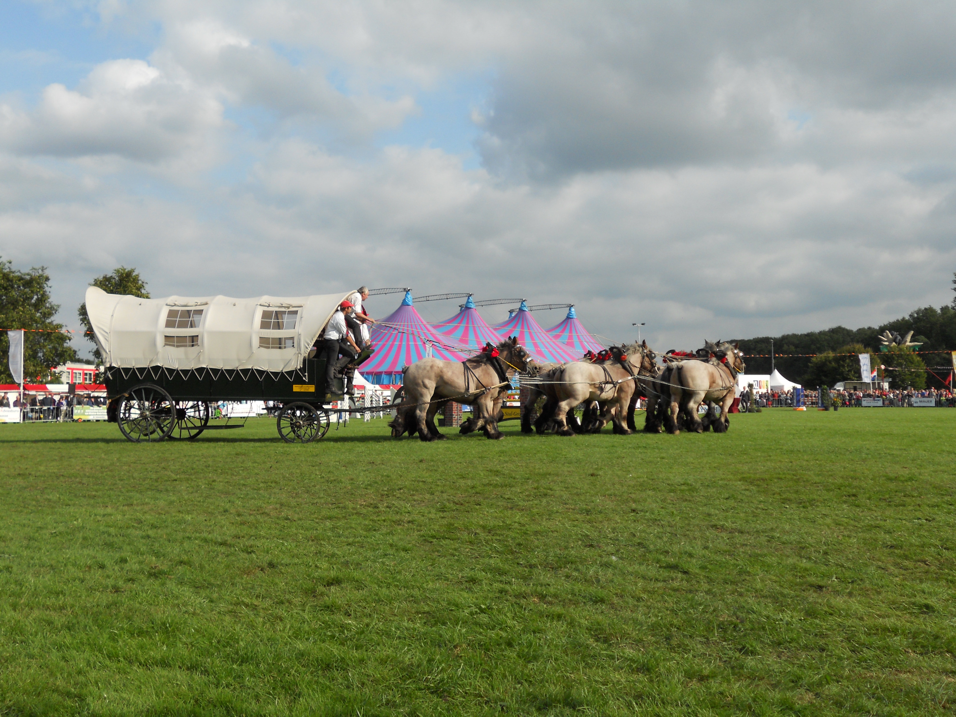 Dorpsfeest Hoogland